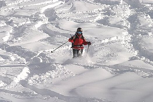 Граждан России среди пострадавших в результате схода снежной лавины в Австрии нет