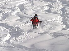 Граждан России среди пострадавших в результате схода снежной лавины в Австрии нет