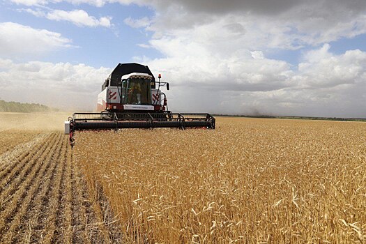 В Оренбуржье аграрии намолотили более 4 млн тонн зерна