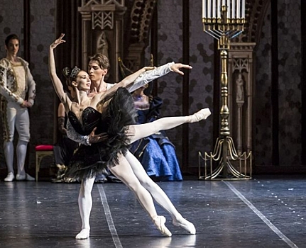 Петербурженка собирает деньги на издание книги об «отце» русского балета Мариуса Петипа