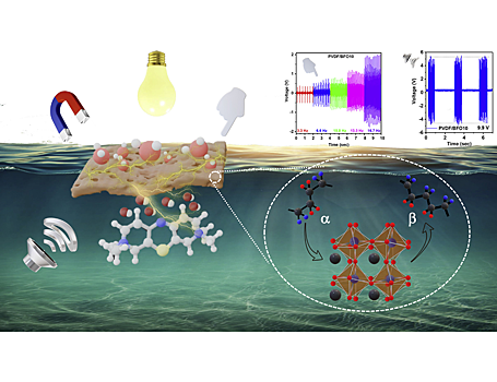 Гибридный материал разрушил органические загрязнители и собрал энергию из окружающей среды