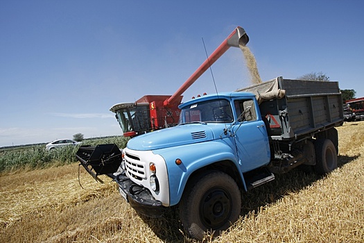 Оперштаб Кубани назвал фейком данные о потере 60% урожая после атак на НПЗ