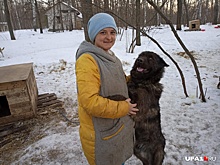 Кредитный брокер из Башкирии бросила престижную работу и занялась спасением собачьих душ