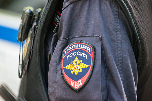 В Подмосковье задержали похищавшего иконы пенсионера