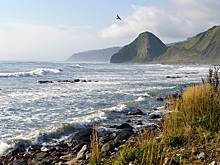 Японцев возмутило развитие туризма на Курилах