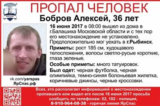 В Ярославской области ищут пропавшего 36-летнего мужчину