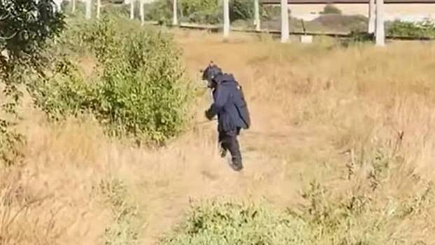 Опубликованы кадры разминирования тайника с бомбами для терактов на Ставрополье