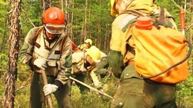 За прошедшие сутки в Иркутской области ликвидировано 11 лесных пожаров