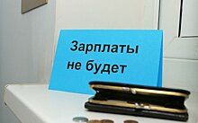 С начала 2019 года долги по зарплате в Карелии выросли до 78 миллионов рублей