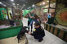 На Урале могут закрыться частные зоопарки