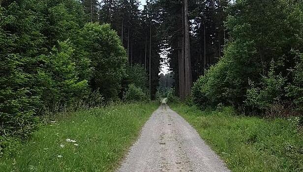 Бурятия вошла в пилотный проект РГО "Золотое кольцо Сибири"