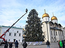 Кремлевская елка вошла в десятку самых высоких новогодних деревьев в мире