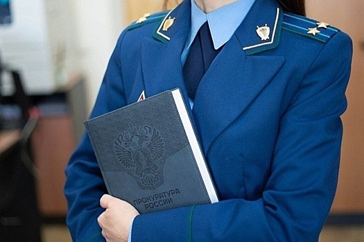 В Калмыкии прокуратура защитила права детей героя СВО