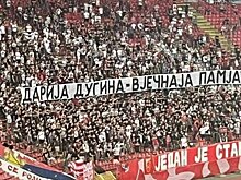 Болельщики сербского ФК почтили память Дугиной во время матча