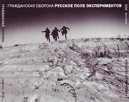 В чем смысл песни Егора Летова "Русское поле экспериментов?