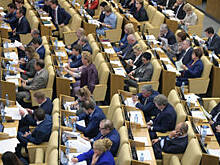 Госдума приняла законопроект о лишении гражданства РФ за терроризм