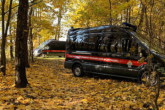 Житель Подмосковья застрелил собутыльников из ружья