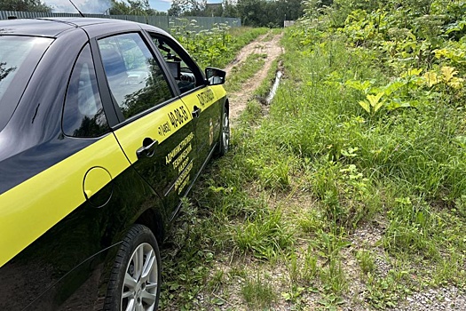 У собственников могут изъять участок, зараженный борщевиком