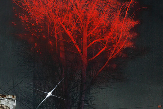 Выставка южнокорейского художника Гёнсу Ана «Eine kleine Nacht. Ночь коротка» в Музее Москвы
