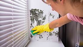 Как убрать плесень на стенах квартиры: самые эффективные средства