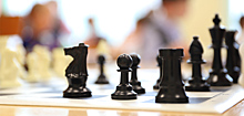 Для школ Ижевска подготовят профессиональных преподавателей по шахматам