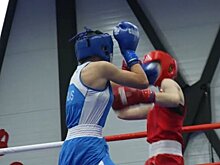 Кировская спортсменка поедет на Первенство Европы по боксу
