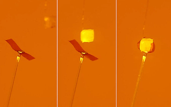 Инженеры создали робота-венерину мухоловку