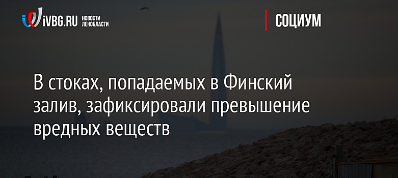 В Петербурге выявили превышение по нефтепродуктам в стоках на побережье Финского залива