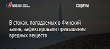 В Петербурге выявили превышение по нефтепродуктам в стоках на побережье Финского залива