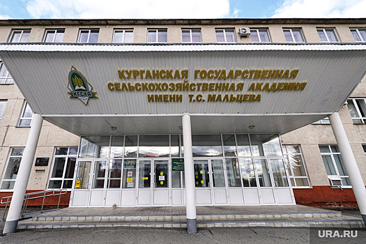 Источник: силовики заинтересовались долгами курганского вуза