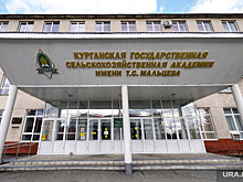 Источник: силовики заинтересовались долгами курганского вуза