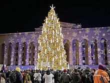 Жители Тбилиси получили елку, но теряют любимых собак