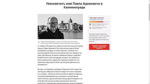 Улица в честь мэра Гданьска и вырубка аллей: способны ли петиции изменить Калининград