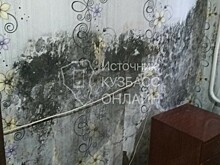 "Начались проблемы со здоровьем": стена в кемеровском общежитии покрылась плесенью