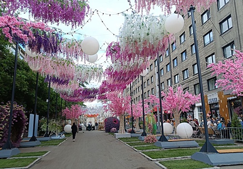 В Новосибирске одну из улиц временно сделают пешеходной