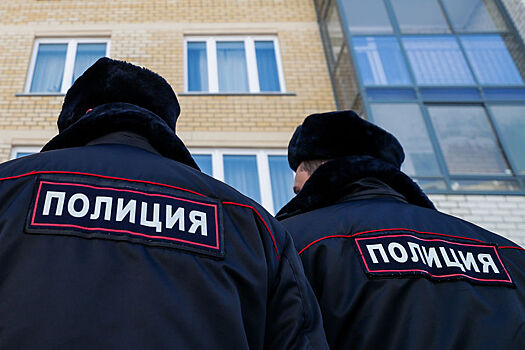 Арестованы более 20 участников массовой драки в Новой Москве