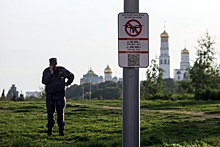 Почти 60 регионов России ввели запрет на использование беспилотников