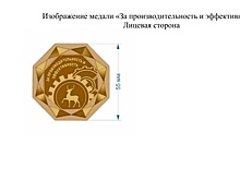 Нижегородцам дадут медали «За производительность и эффективность»