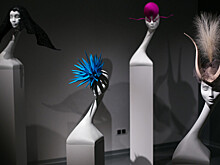 В Петербурге пройдет выставка работ культового шляпника Филипа Трейси