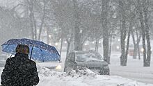 В Приморье 266 автомобилей пострадали в авариях в снежный циклон