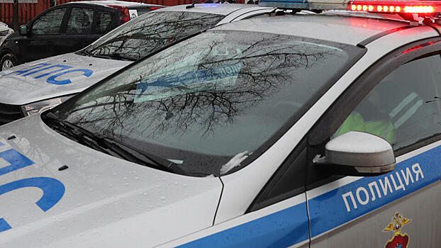 Водитель сломал нос сотруднику ДПС после просьбы показать документы