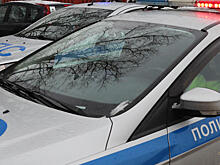 Водитель сломал нос сотруднику ДПС после просьбы показать документы