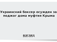 Украинский боксер осужден за поджог дома муфтия Крыма