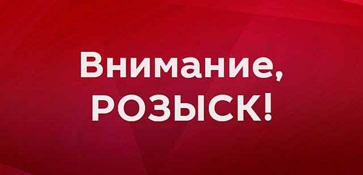 В Псковской области продолжается поиск 80-летнего Владимира Антонова