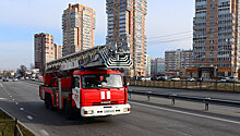 В Новой Москве сгорели 12 автобусов