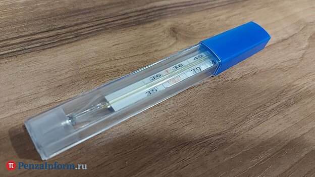 В Пензенской области грипп выявили еще у 1 083 человек