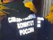 Подозреваемый в убийстве Станислава Ржицкого признал вину