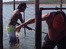 Видео. Мужчина взял руками самую опасную медузу в мире