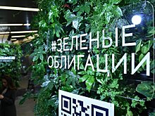 "Зеленые" облигации Москвы стали доступны населению для покупки