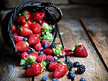 В Липецкой области запущен завод по шоковой заморозке ягод и фруктов